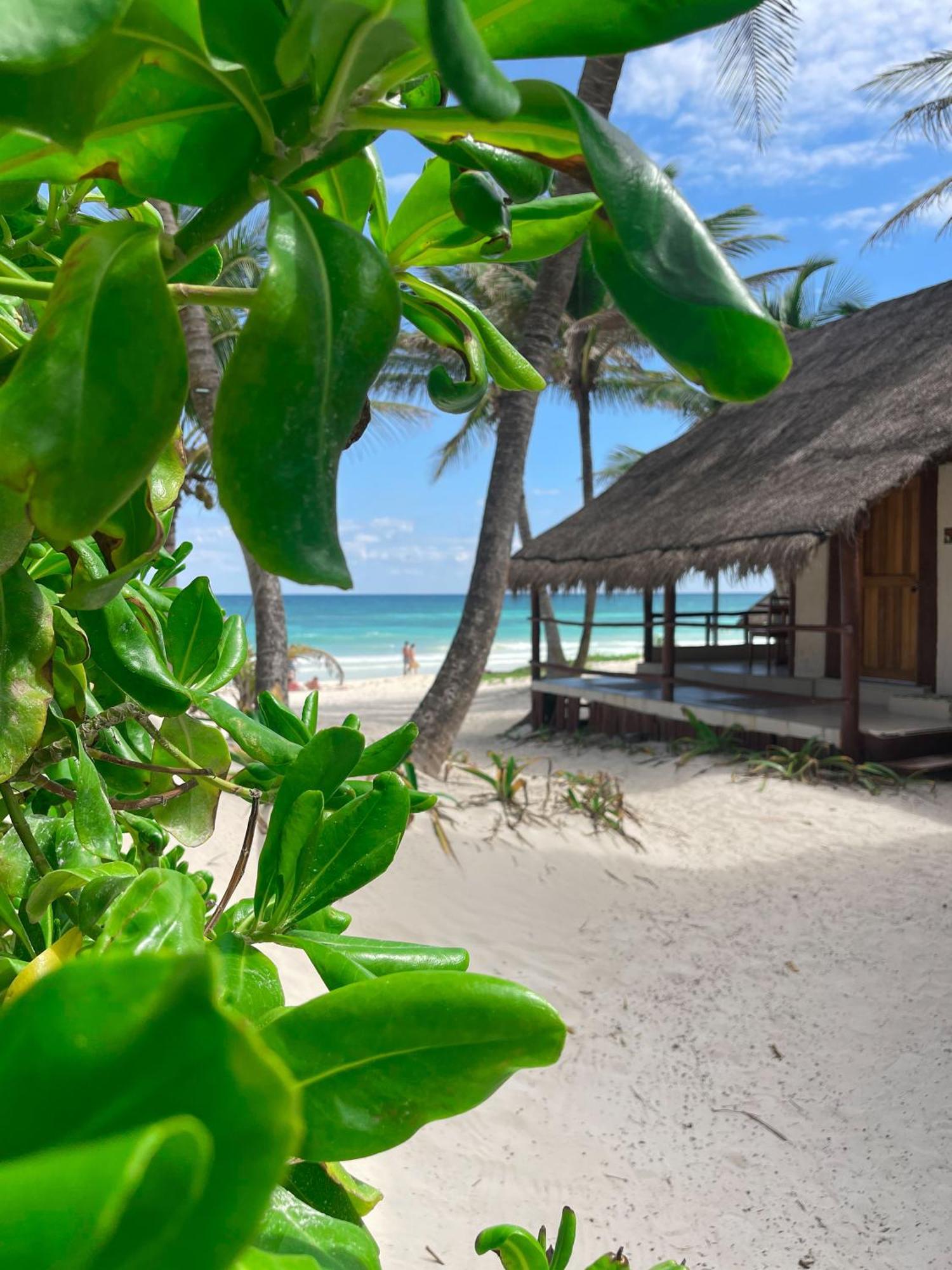 Hotel Bt Live Tulum Located At The Party Zone Exterior foto